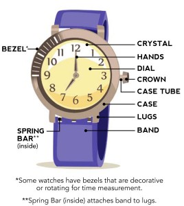 Parts of Watch