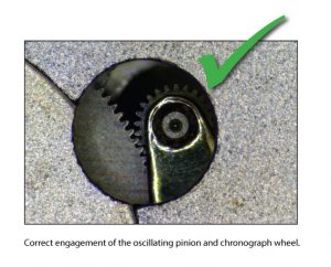 Correct engagement of the oscillating pinion and chronograph wheel.
